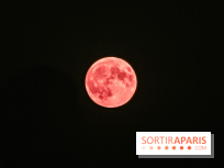Qu'est-ce que cette micro pleine lune rose, visible dans la nuit du 12 au 13 avril 2025 ? 