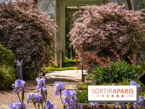 10 parcs et jardins à Paris et en Île-de-France à découvrir absolument en mai 2025 - jardin des plantes