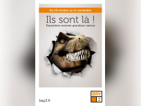 Les Dinosaures géants débarquent à Bay 2