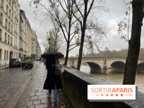Une Tempête arrive en France ce jeudi, à quoi s'attendre à Paris et en Ile-de-France ? 
