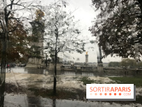 Une Tempête arrive en France ce jeudi, à quoi s'attendre à Paris et en Ile-de-France ? 