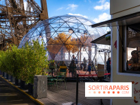 Bulle d'automne de la tour Eiffel : arbre géant et jeu grandeur nature au sommet de Paris