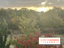 Tempête Benjamin : parcs et jardins fermés en Île-de-France