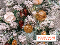 Ce Marché de Noël en Essonne promet chocolat chaud et passage du Père Noël avec ses rennes