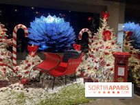 Ce Marché de Noël en plein Paris promet patinoire, manèges et spectacles