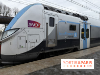 Tempête Goretti : la circulation des transiliens coupée à Saint-Lazaree