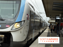 Transports à Paris et en Ile-de-France : les perturbations RER, métro du 26 janvier au 1er février