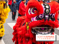 Seine-et-Marne : Nouvel An chinois et Fête du Têt à Lognes