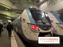 Transports à Paris et en Ile-de-France : les perturbations RER, métro du 16 au 22 février