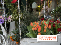 La foire aux Plantes de Crèvecœur-En-Brie 2026 (77)