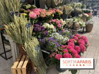 La Fête des Jardins de Sois-y en Essonne 2026