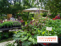 Seine-et-Marne : La Foire aux Plantes à Larchant 2026 : marché, troc et animations - 77