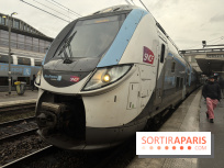 Ligne P perturbée cet été : 6 semaines de travaux en Seine-et-Marne