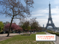 Les cerisiers du Trocadéro fleurissent avec de l'avance en ce printemps 2026