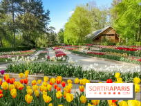 Le Parc Floral de Paris Vincennes, tulipes