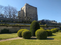 Seine-et-Marne : on peut dormir dans ce donjon du XIIe siècle !