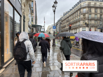 Météo cette semaine : fortes chaleurs à Paris et en Ile-de-France, du 1er au 7 juin 2026