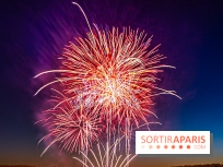 Seine-et-Marne, les feux d'artifice du 14 juillet interdits dans les zones sensibles