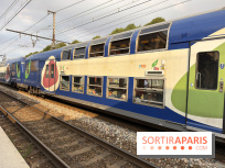 Transports Paris Île-de-France : perturbations métro et RER du 20 au 26 juillet 2026