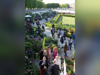 Jardins, jardin 2015 aux Tuileries 