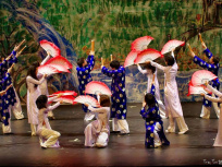 Le Festival du Nouvel An Vietnamien à l'Opéra de Massy