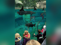 Le Parc Zoologique de Paris pour les vacances de printemps