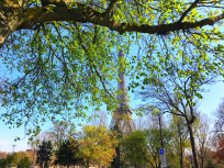 La Fête de l'Arbre à Paris !