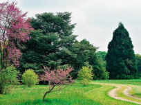 L'Arboretum de Chevreloup, réouverture et nouveautés 2018