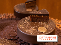 Le Gâteau-goûter chocolat de Christophe Michalak et la maison du Chocolat