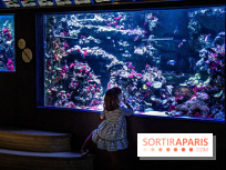 L'Aquarium Tropical de la Porte Dorée se renouvelle 