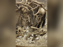 Préhistoire(s) l'enquête au Palais de la Découverte, sépulture de Téviec