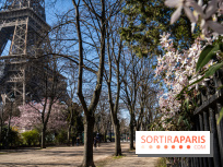 Que faire ce week-end à Paris et en Île-de-France, ces 11, 12 et 13 mars 2022