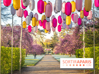 Hanami au Parc de Sceaux 2022, la fête des cerisiers en fleurs