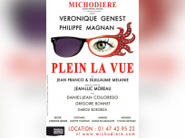 Plein la vue, au Théâtre de la Michodière, véronique genest