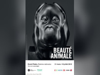 exposition beauté animale au grand palais