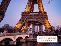 Le Diamand Bleu by Mohamed Cheikh, le dîner croisière festif sur la Seine