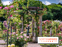 Les plus belles roseraies à Paris et en Île-de-France