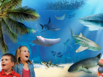 L'ile aux requins... Osez l'aventure, sea life, aquarium