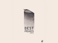 best fishes à la cartonnerie