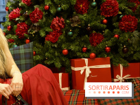 Noël 2022 : notre sélection de spectacles 2023 à offrir en cadeaux