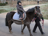 Paris Poney 2012 au parc de Choisy