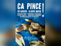  Ça pince à l'Aquarium de Paris