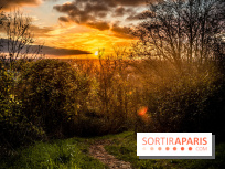 Colline d’elancourt - colline de la revanche 