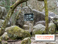 Nuit des Forêts à Fontainebleau 2023 entre art, nature et découvertes gratuites