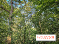 Les Nuits des Forêts 2023 en Seine-Saint-Denis (93) : Le programme