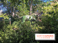 Parc du dispensaire - Sartrouville