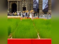 LINcroyable récolte