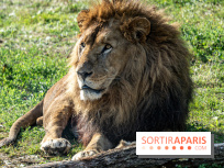 Halloween aux Parcs Zoologiques de Lumigny : Une Aventure Mystérieuse vous attend !