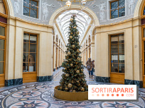 11 spots photos de Noël canons à Paris 2023 pour profiter des illuminations magiques - galerie Vivienne