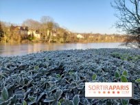 Neige et verglas : Paris et l'Île-de-France en vigilance jaune ce samedi